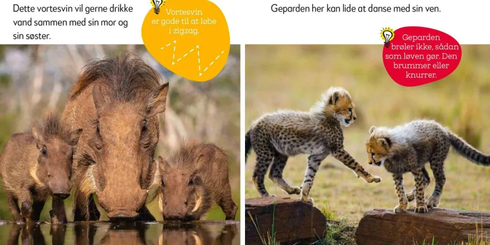 Aktivitetskuffert - Vilde dyr