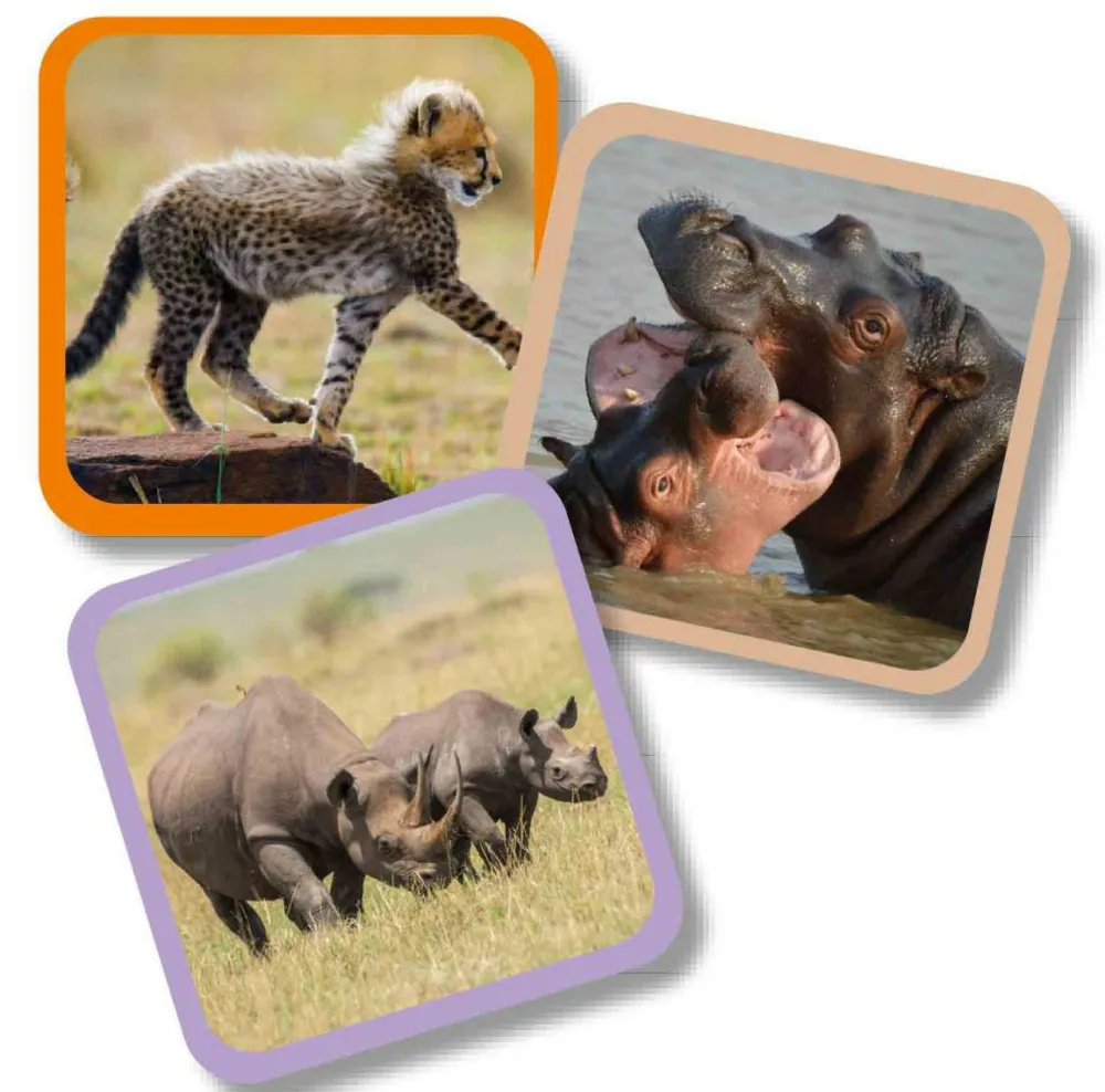 Aktivitetskuffert - Vilde dyr