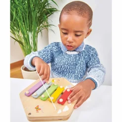 Le Toy Van Aktivitetsplade: Xylofon