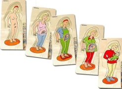 Discount Beleduc Anatomi - Mor