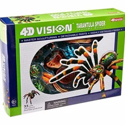 Online Anatomimodel - Fugleedderkop, 33 dele