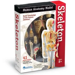 Best Learning Resources Anatomimodel - Skelet