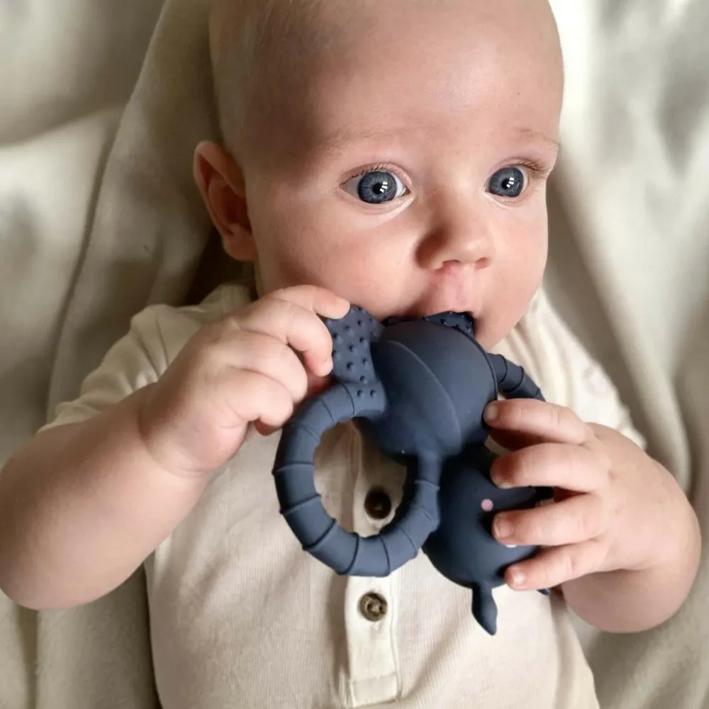 Outlet Filibabba Bidedyr i 100% naturgummi - Fluen Felix