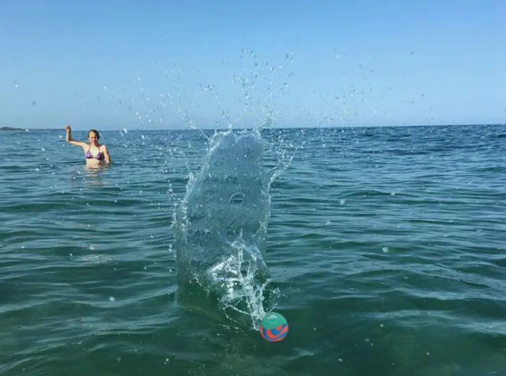 Discount Bølgehopper-bold