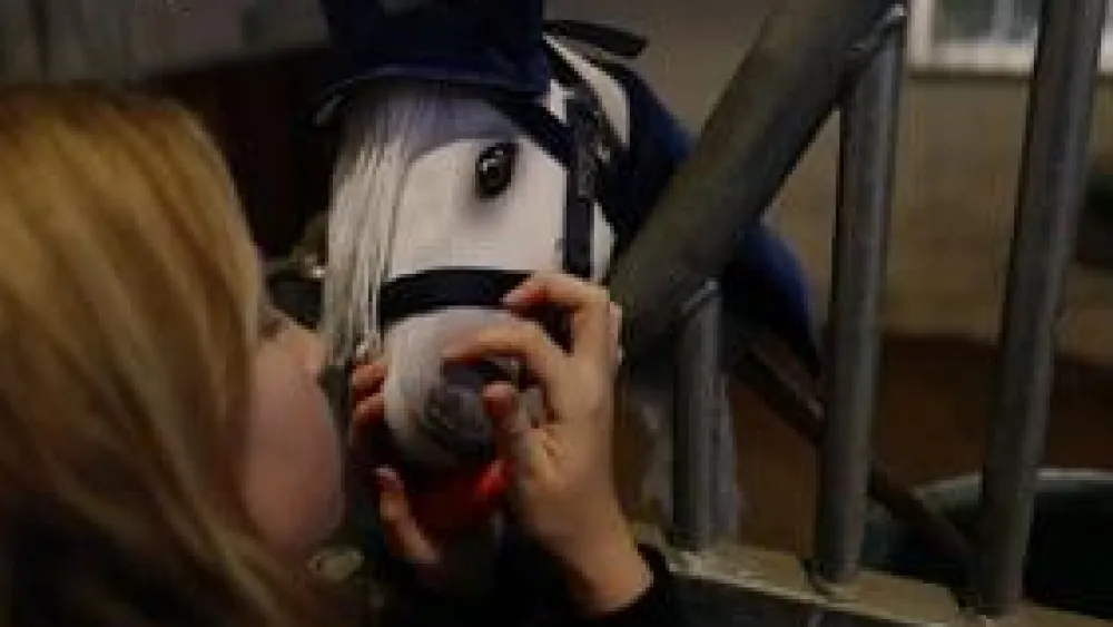 Clearance byASTRUP kæphest - Hvid "Sigrid"