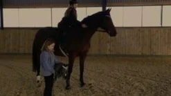 Discount byASTRUP kæphest - Sort