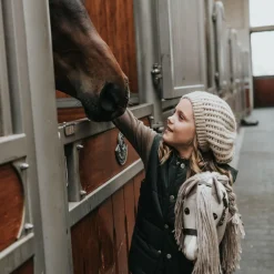 Sale Cheval Roi kæphest - Diva (2024-model)