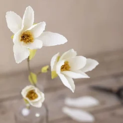 Best Creativ Company Crepepapir - Deluxe m. 240+ dele