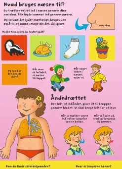 Forlaget Bolden Den store flapbog: Kroppen