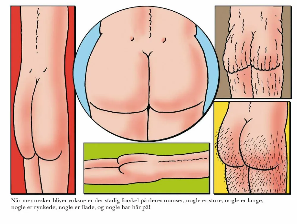 Best Den store numsebog