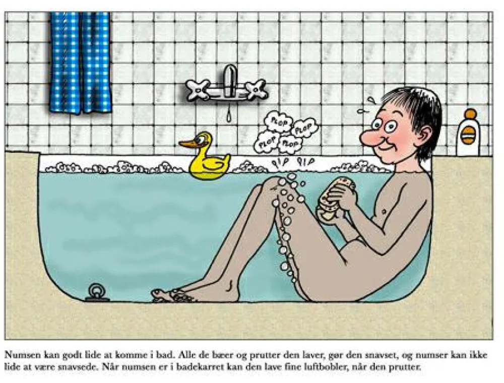 Best Den store numsebog