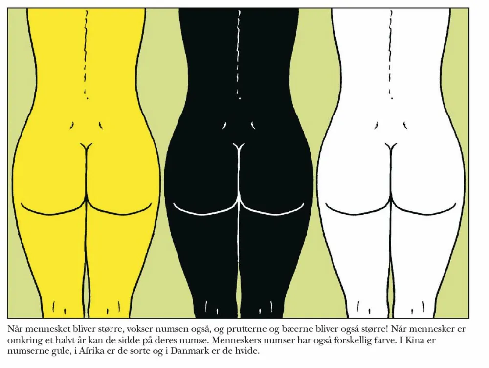 Best Den store numsebog