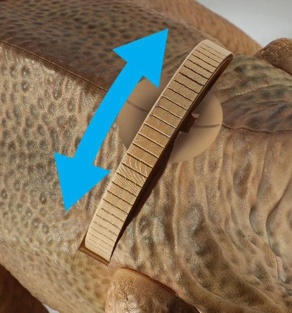 New Brainstorm Dinosaur med projektor - T-Rex