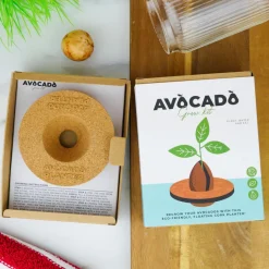 Sale Dyrk din egen avocadoplante