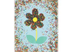 New Farvede ris til sanselege, 454 gr.