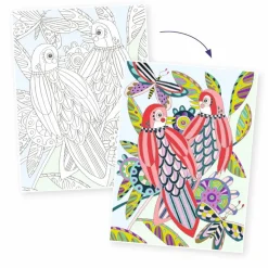 Djeco Farvelægningsplakater - Fugle, 3 stk