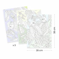 Djeco Farvelægningsplakater - Fugle, 3 stk