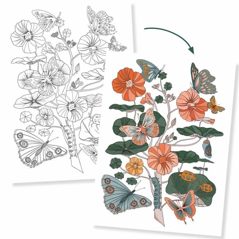 Clearance Djeco Farvelægningsplakater - Natur, 3 stk