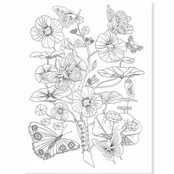 Clearance Djeco Farvelægningsplakater - Natur, 3 stk