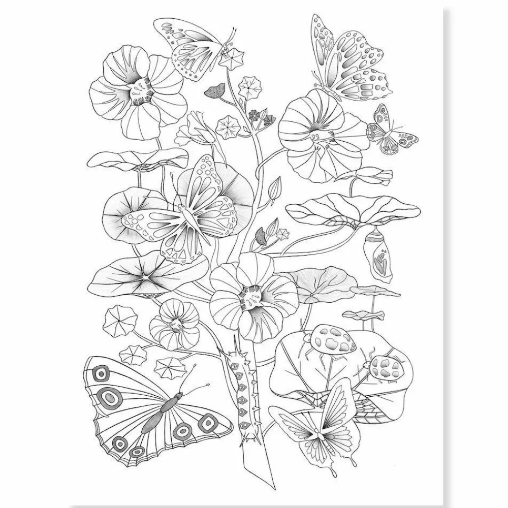 Clearance Djeco Farvelægningsplakater - Natur, 3 stk