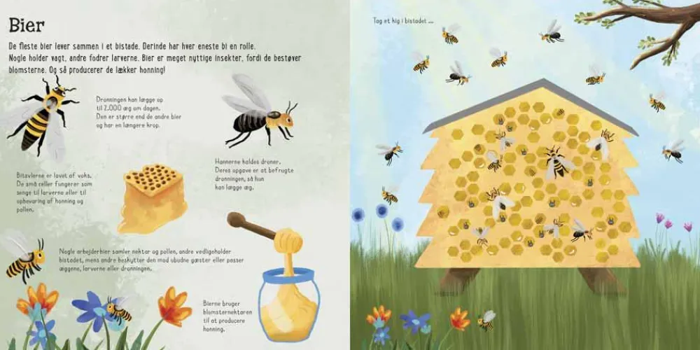 Sale Forlaget Bolden Flapbog - Jeg ser på... Små insekter