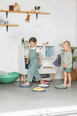 Gonge Føleskiver Nordic