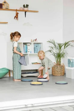 Gonge Føleskiver Nordic