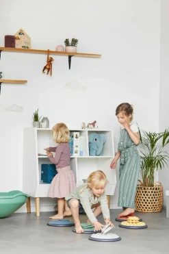 Gonge Føleskiver Nordic