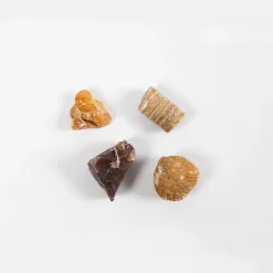 Discount Forskerkit D - Naturfag