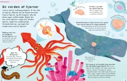 Online Forunderlige hjerner