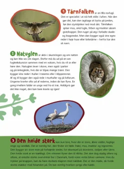 Sale Forlaget Bolden Fugle i vores natur