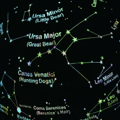 Online Brainstorm Globus 2-i-1