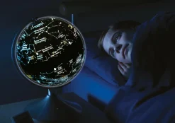 Online Brainstorm Globus 2-i-1