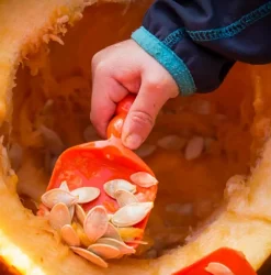 Discount Græskar skæresæt m. 3 dele