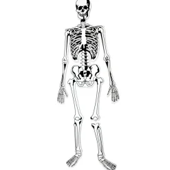 Hot Learning Resources Gulvpuslespil - Skelet