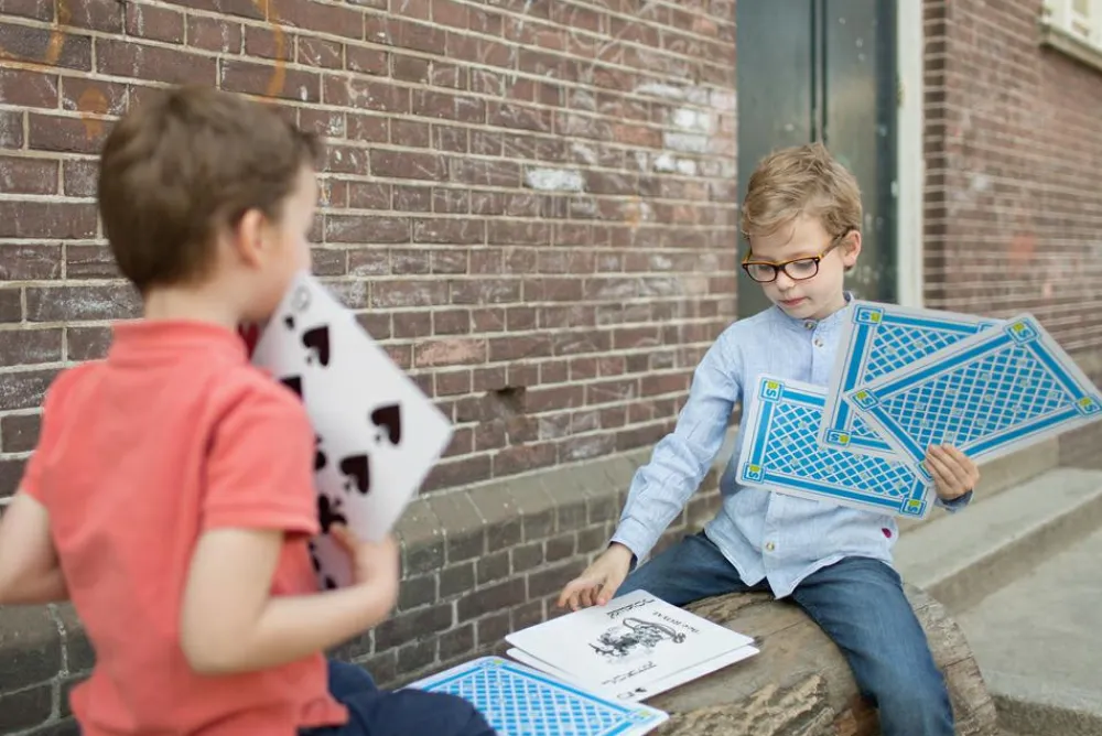 Online BS Toys Havespil - Spillekort mega