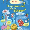Hvad sker der, når du spiser?