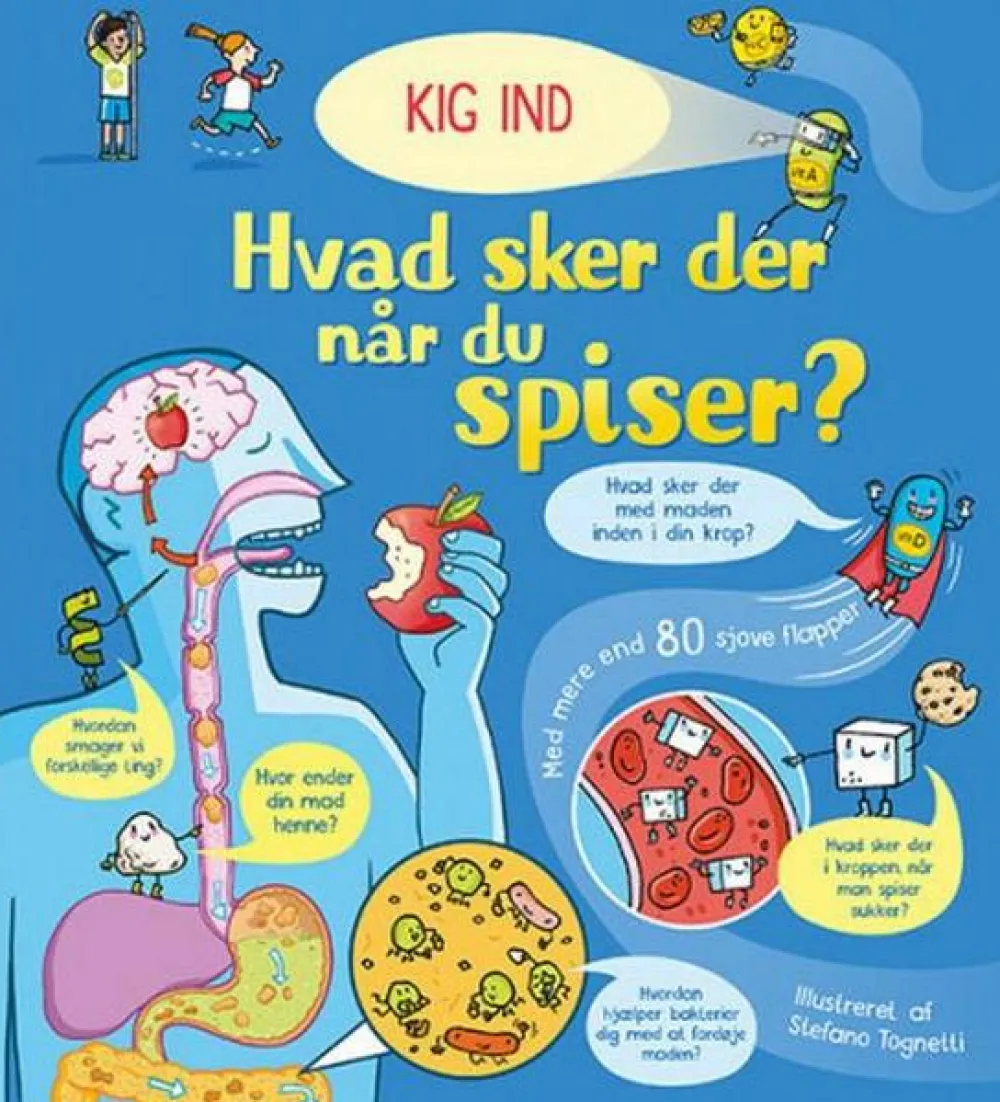 Hvad sker der, når du spiser?