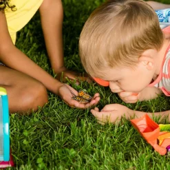 Sale B. Toys Insektbolig inkl. tilbehør - Bug Bungalow