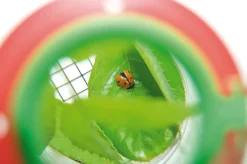 Clearance Insektglas med forstørrelsesglas, Ø 6 cm.