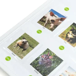 New Interaktiv tavle - optag og afspil