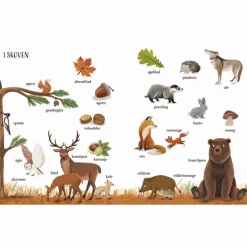 Best Forlaget Bolden Jeg ser på... Naturen med min store billedordbog