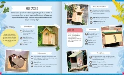 Sale Kig på fuglene - Ornitologi for begyndere