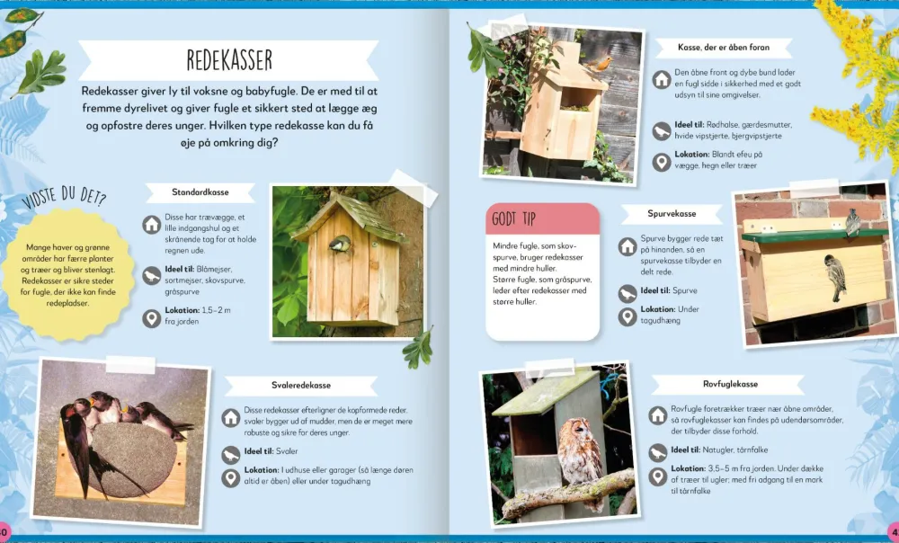 Sale Kig på fuglene - Ornitologi for begyndere