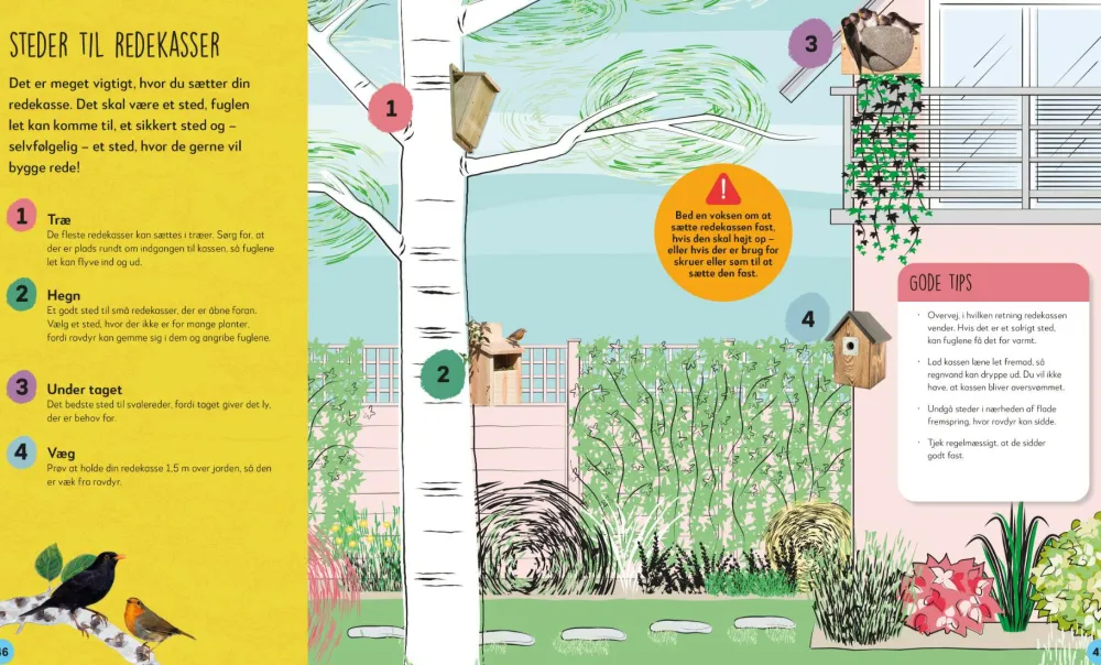 Sale Kig på fuglene - Ornitologi for begyndere