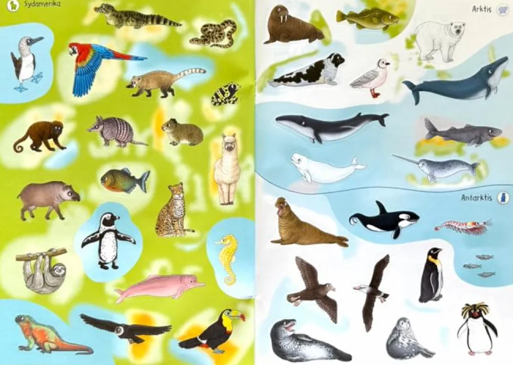 Discount Forlaget Bolden Klistermærkebog - Atlas, Verdens dyr