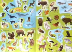 Discount Forlaget Bolden Klistermærkebog - Atlas, Verdens dyr