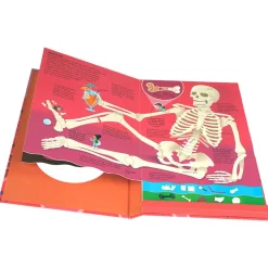 Kom med ind i kroppen