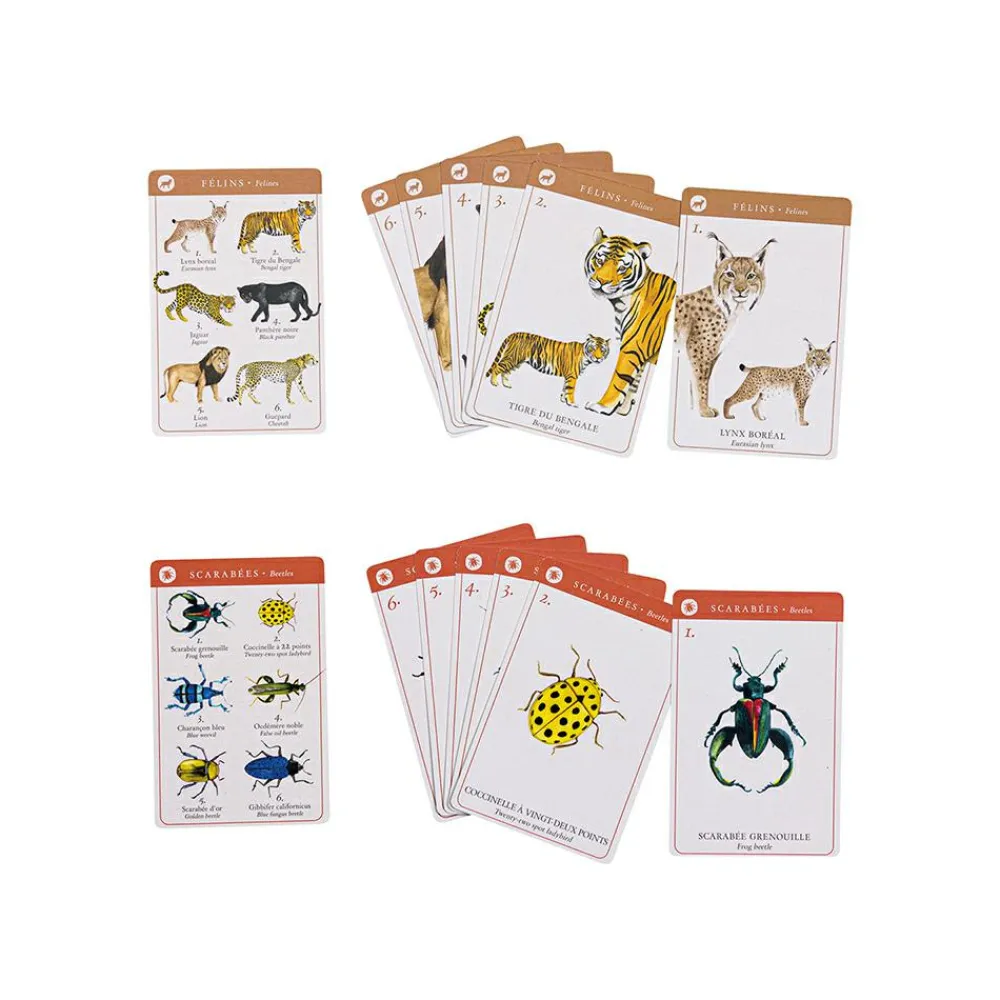 Hot Kortspil - Dyrearter (engelsk/fransk)