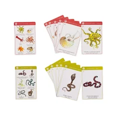 Hot Kortspil - Dyrearter (engelsk/fransk)